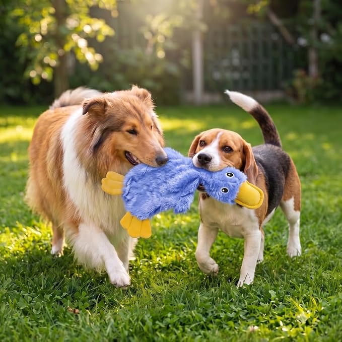 Interactive Squeaky Crinkle Duck Dog Toy – Blue